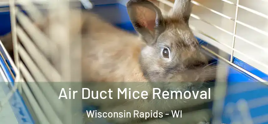  Air Duct Mice Removal Wisconsin Rapids - WI