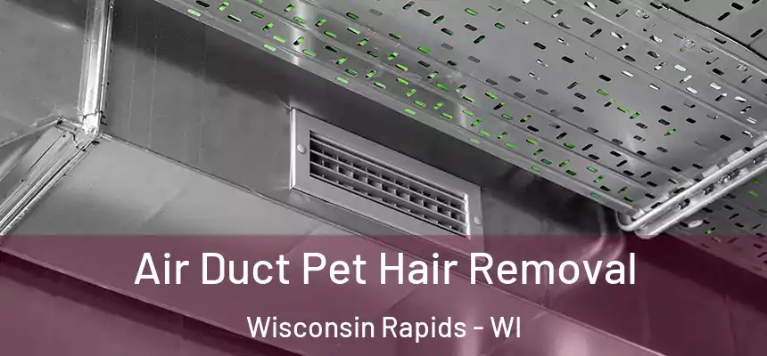  Air Duct Pet Hair Removal Wisconsin Rapids - WI