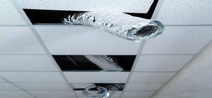 Our Air Duct Pet Hair Removal Services in Wisconsin Rapids, WI