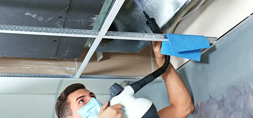 Our Air Duct Rodent Removal Services in Wisconsin Rapids, WI