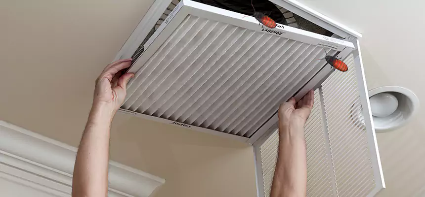 Our Insect Removal from Air Ducts Services in Wisconsin Rapids, WI