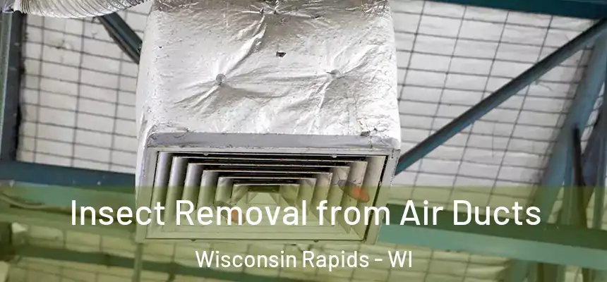  Insect Removal from Air Ducts Wisconsin Rapids - WI