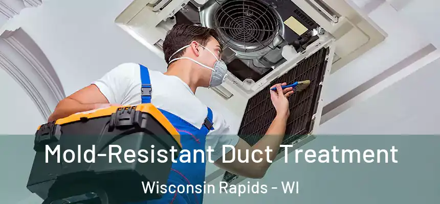  Mold-Resistant Duct Treatment Wisconsin Rapids - WI