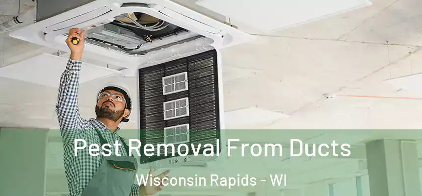  Pest Removal From Ducts Wisconsin Rapids - WI