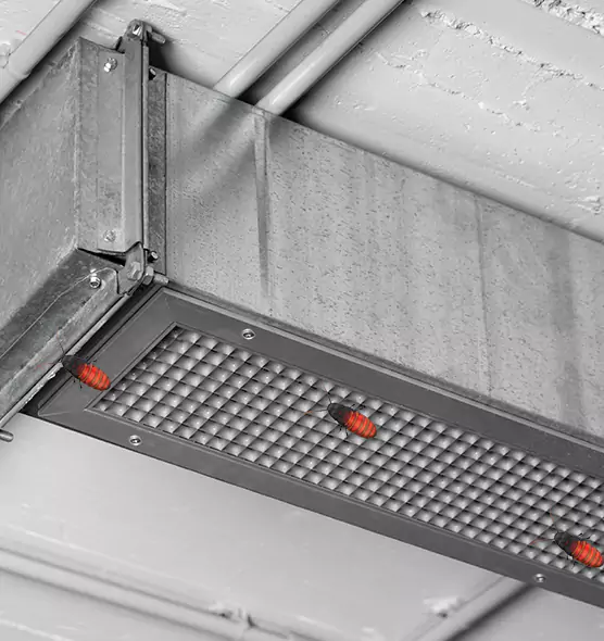 Affordable Insect Removal from Air Ducts in Wisconsin Rapids, WI