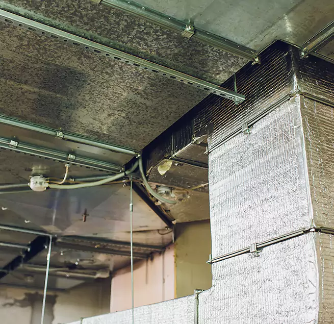 Why Homeowners & Businesses Trust Us in Wisconsin Rapids, WI?